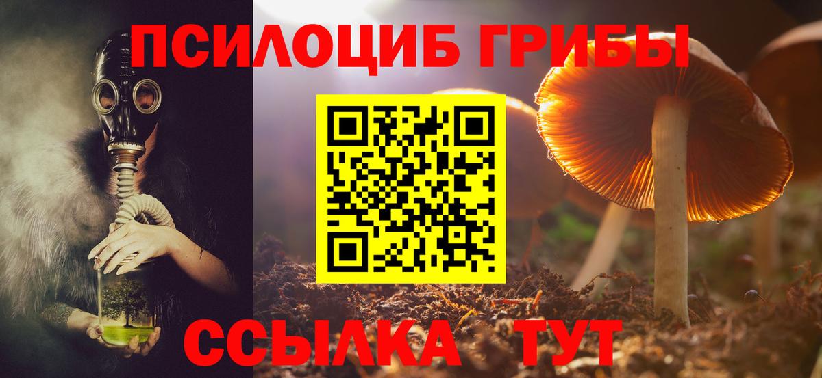 Псилоцибиновые грибы мухоморы  Вход с VPN  Сосновый Бор 